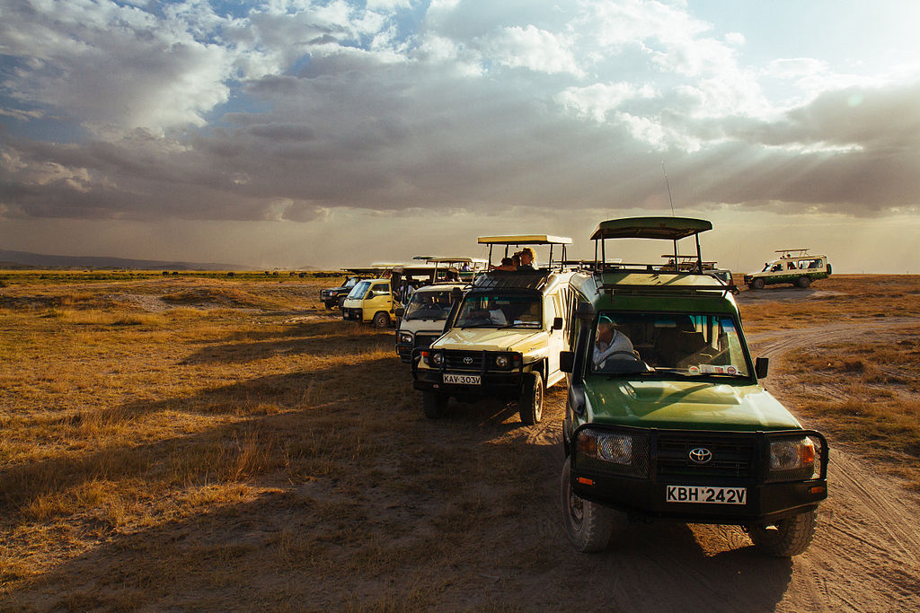 parc national Amboseli Kenya