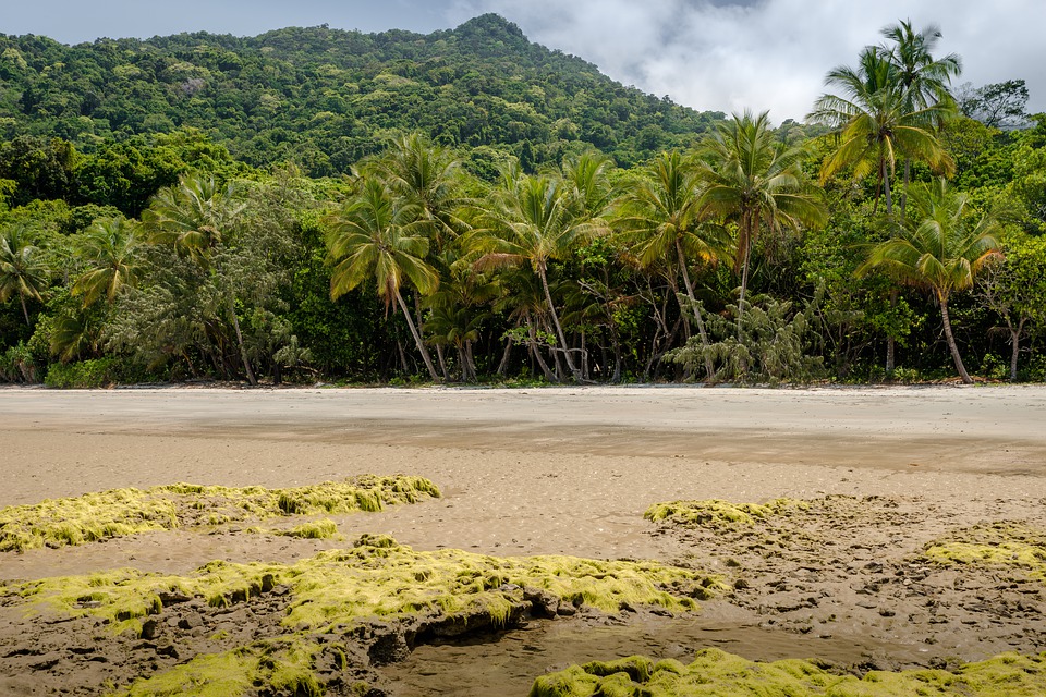 Daintree-Australie